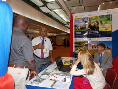 Aviana Africa
