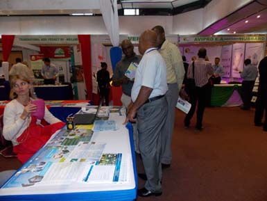 Aviana Africa