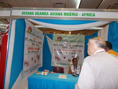 Aviana Africa