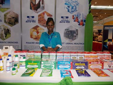Aviana Africa