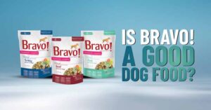 DN-Bravo-dog-food-review - Dogs Naturally bravo-dog-food-review