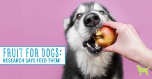 fruits for dogs - Dogs Naturally fruits for dogs